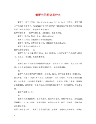 紫罗兰的花语是什么 