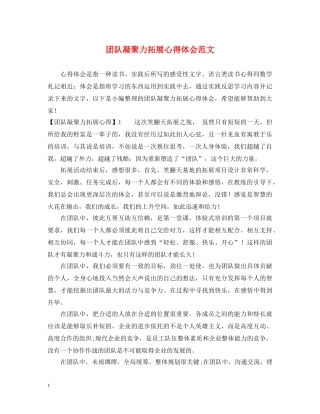 团队凝聚力拓展心得体会范文 