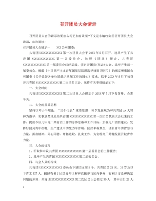 召开团员大会请示 