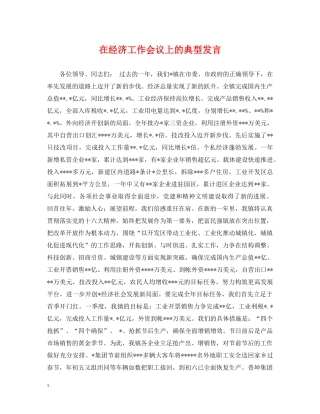 在经济工作会议上的典型发言 