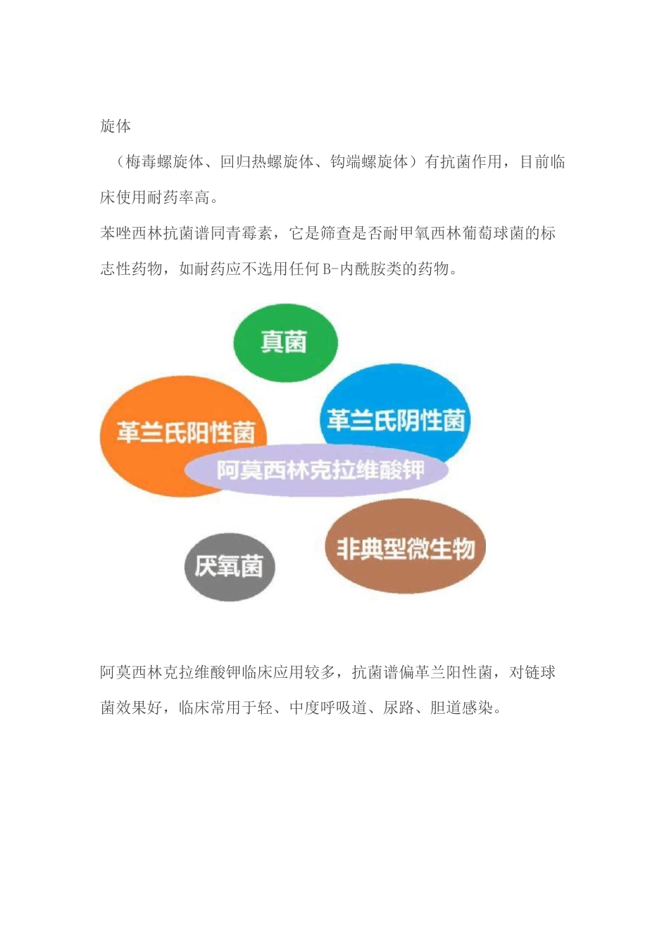 各抗菌药物的抗菌谱_第2页