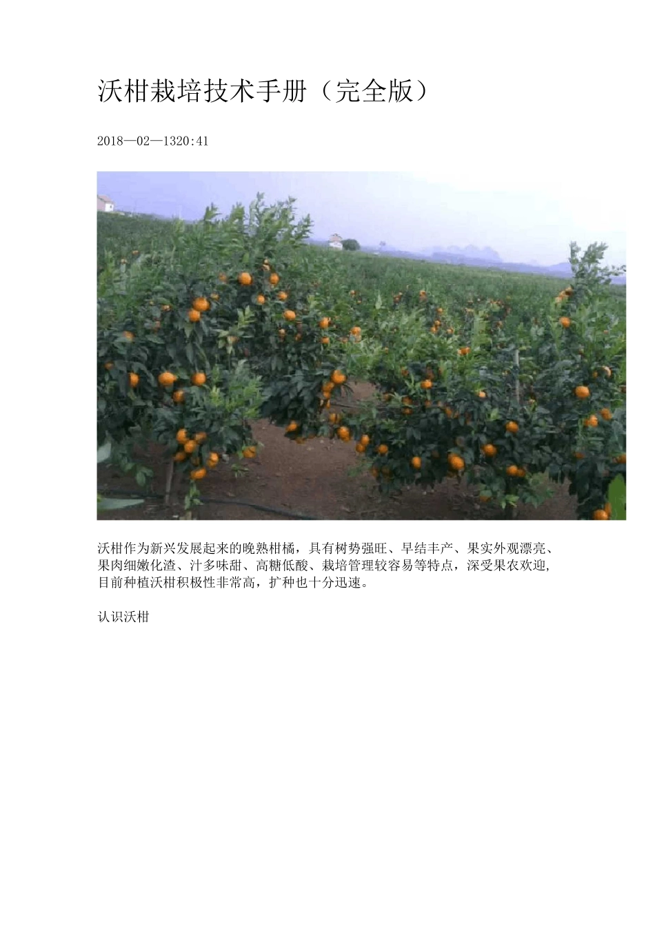 沃柑栽培技术手册(完全版)_第1页