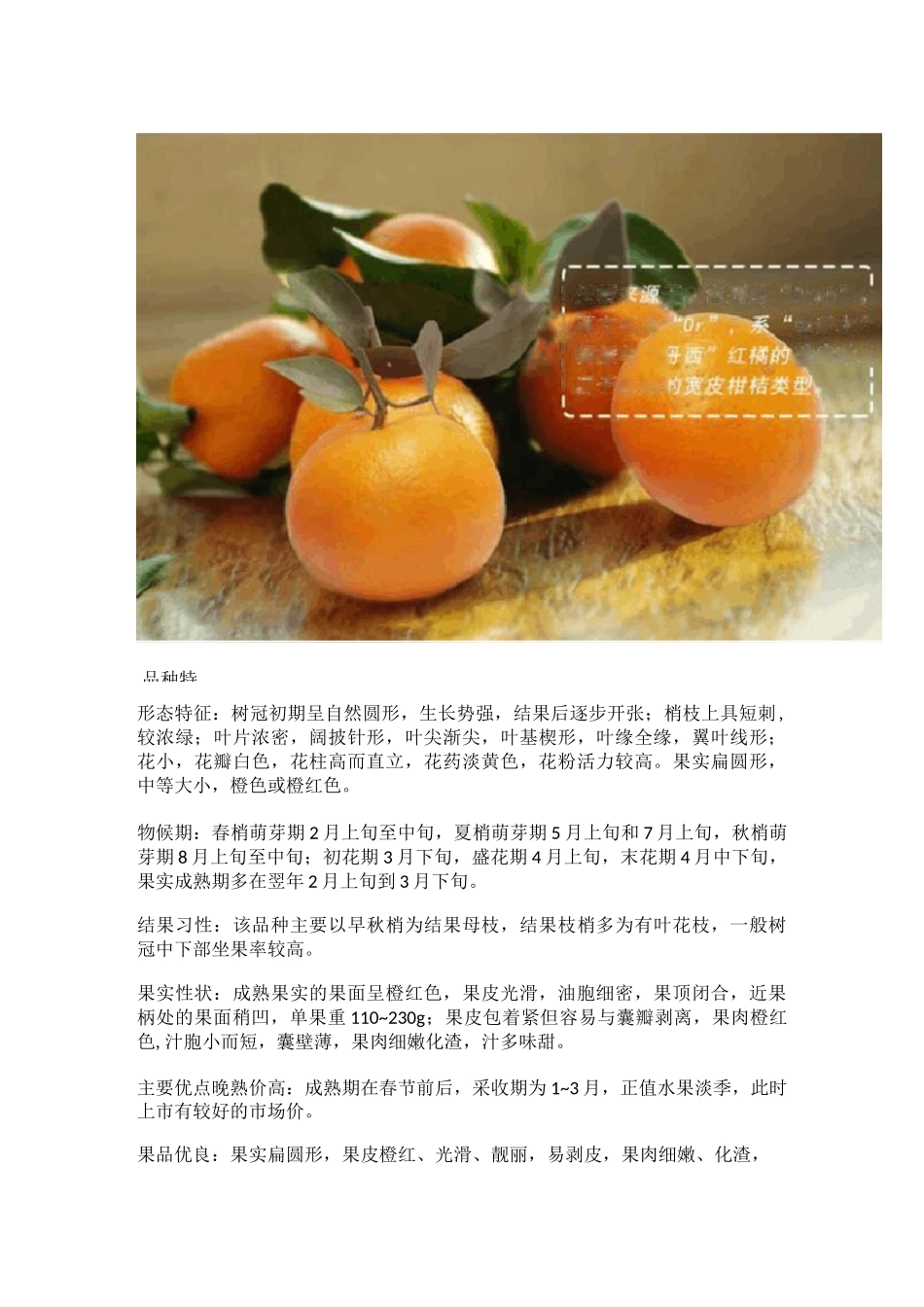 沃柑栽培技术手册(完全版)_第2页