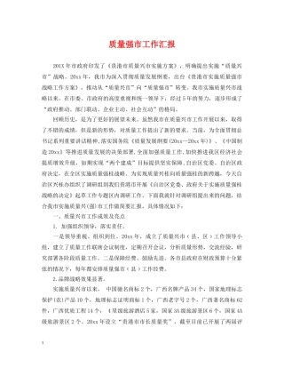 质量强市工作汇报 
