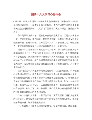 团的十六大学习心得体会 