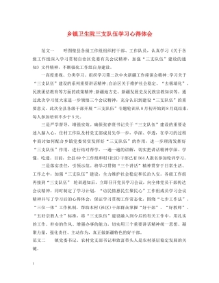 乡镇卫生院三支队伍学习心得体会 