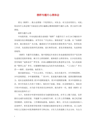 榜样专题片心得体会 