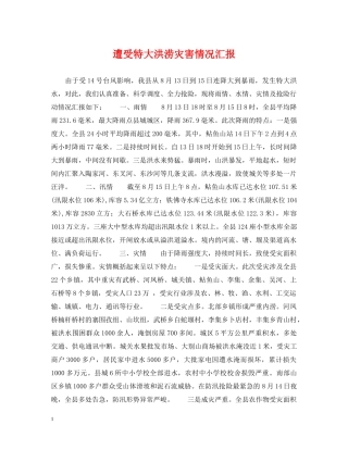遭受特大洪涝灾害情况汇报 