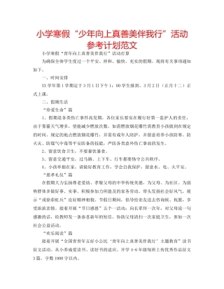 小学寒假“少年向上真善美伴我行”活动参考计划范文 