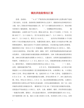 镇抗洪抢险情况汇报 