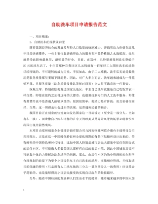 自助洗车项目申请报告范文 