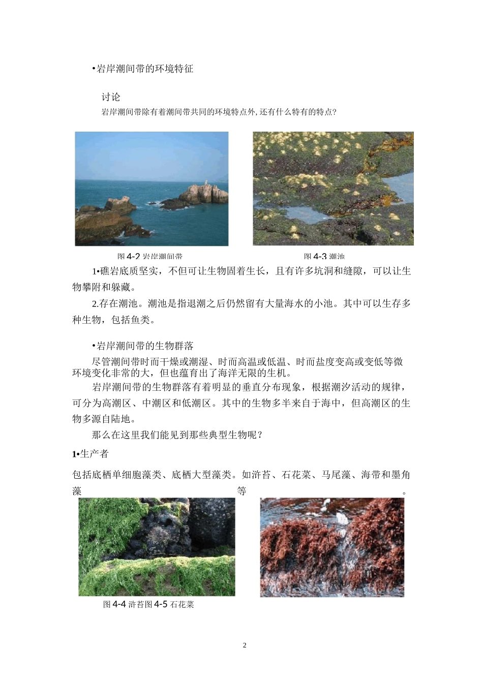海洋生态学第4讲――岩岸潮间带_第2页