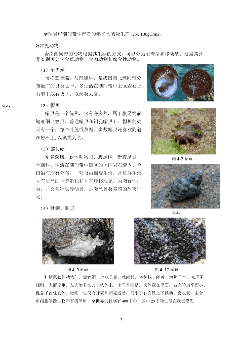 海洋生态学第4讲――岩岸潮间带_第3页