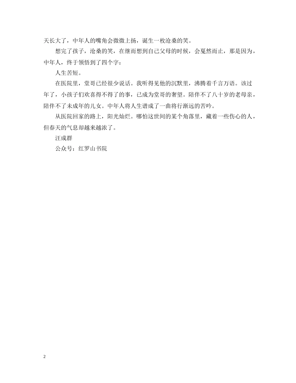 中年人新年感悟随笔-新年，中年人心底的欢喜与落寞_第2页