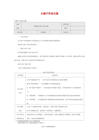 大客户开发方案