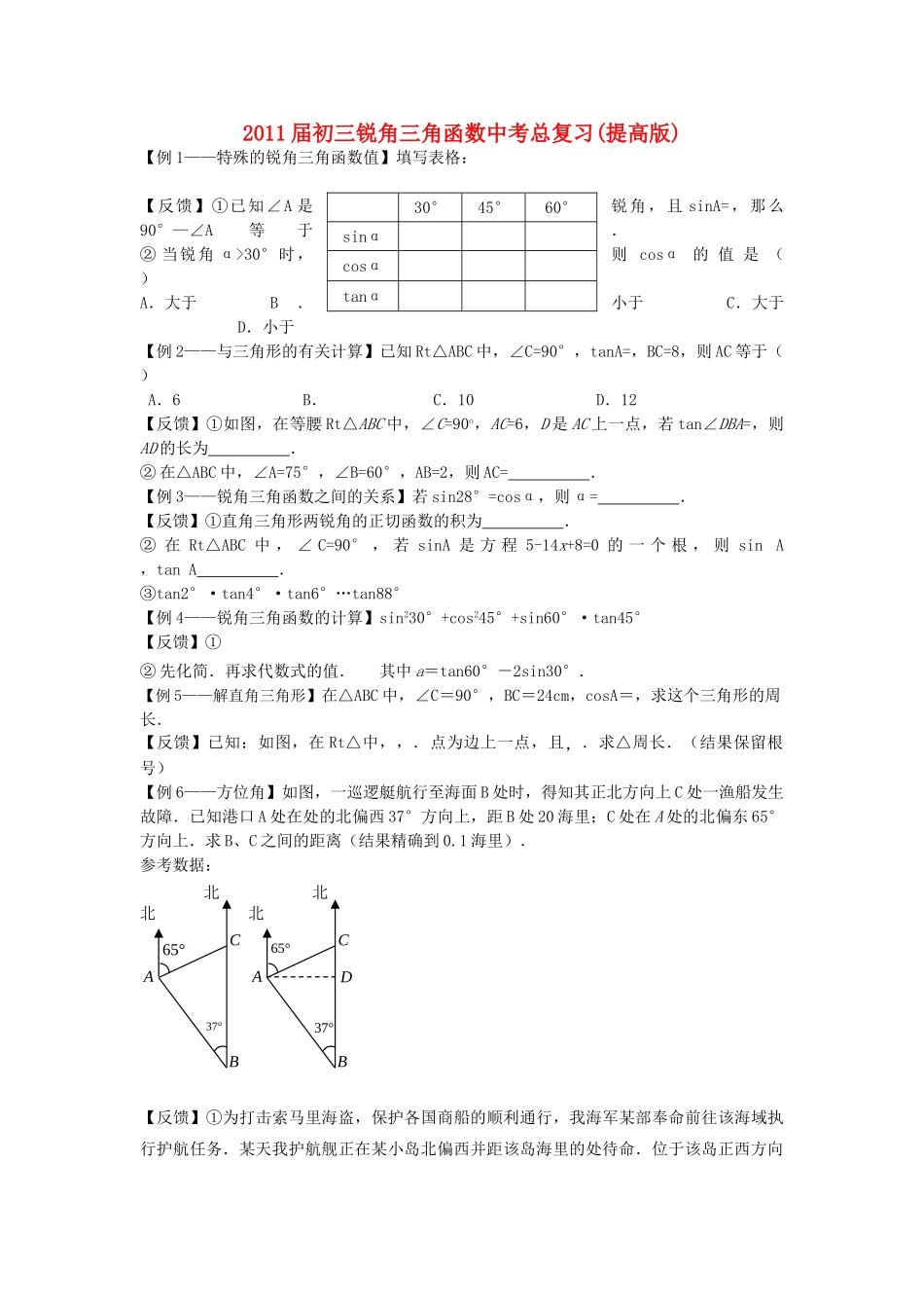 中考数学总复习 锐角三角函数_第1页
