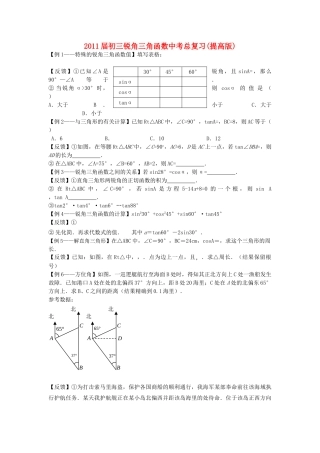 中考数学总复习 锐角三角函数