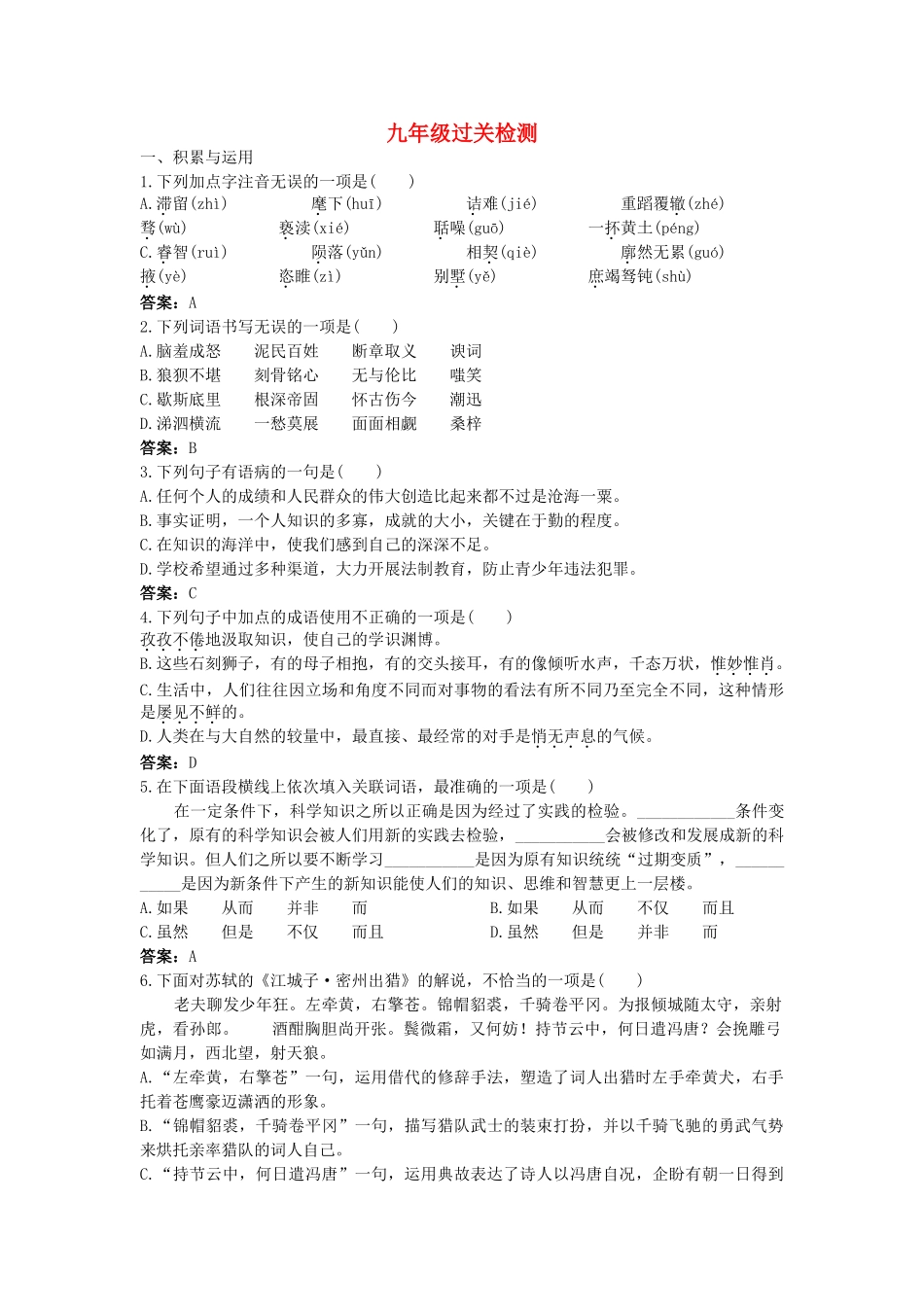 中考语文总复习 九级过关检测_第1页