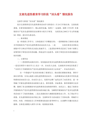 支部先进性教育学习阶段“回头看”情况报告 