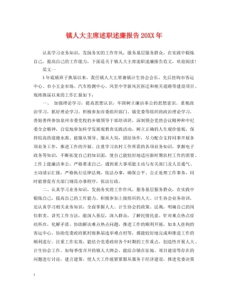 镇人大主席述职述廉报告20XX年 