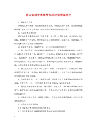 重大地质灾害事故专项应急预案范文 