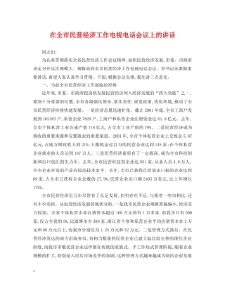 在全市民营经济工作电视电话会议上的讲话 