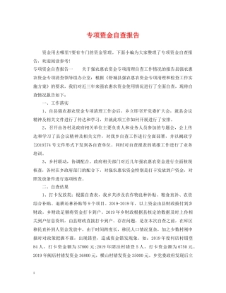专项资金自查报告