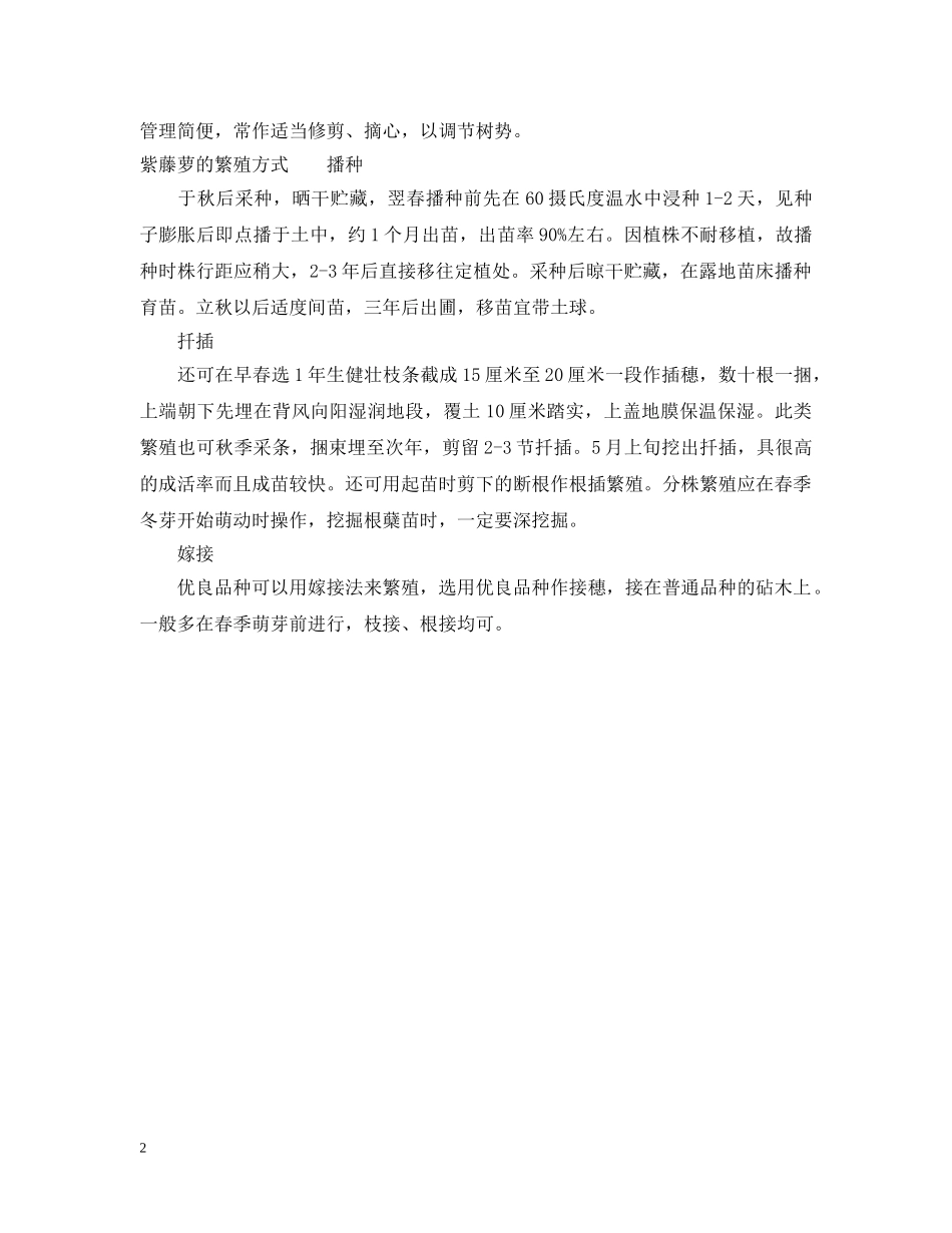 紫藤萝的花语寓意是什么 _第2页