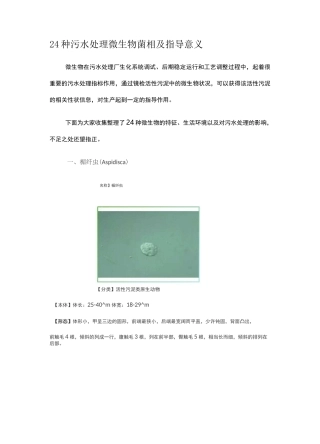 24种污水处理微生物菌相及指导意义