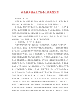 在全县乡镇企业工作会上的典型发言 