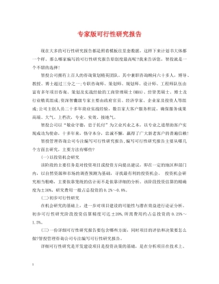 专家版可行性研究报告