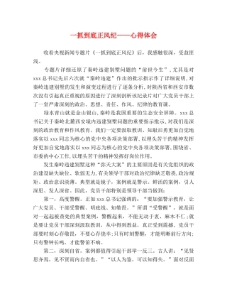 一抓到底正风纪——心得体会 