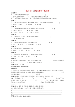 中考化学练习20 二氧化碳和一氧化碳