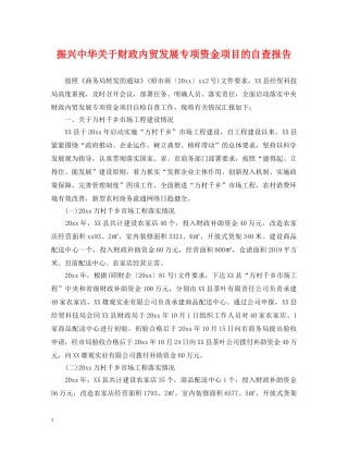 振兴中华关于财政内贸发展专项资金项目的自查报告 