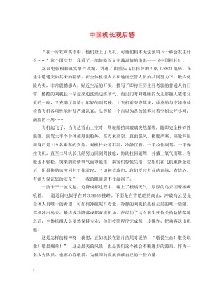 中国机长观后感
