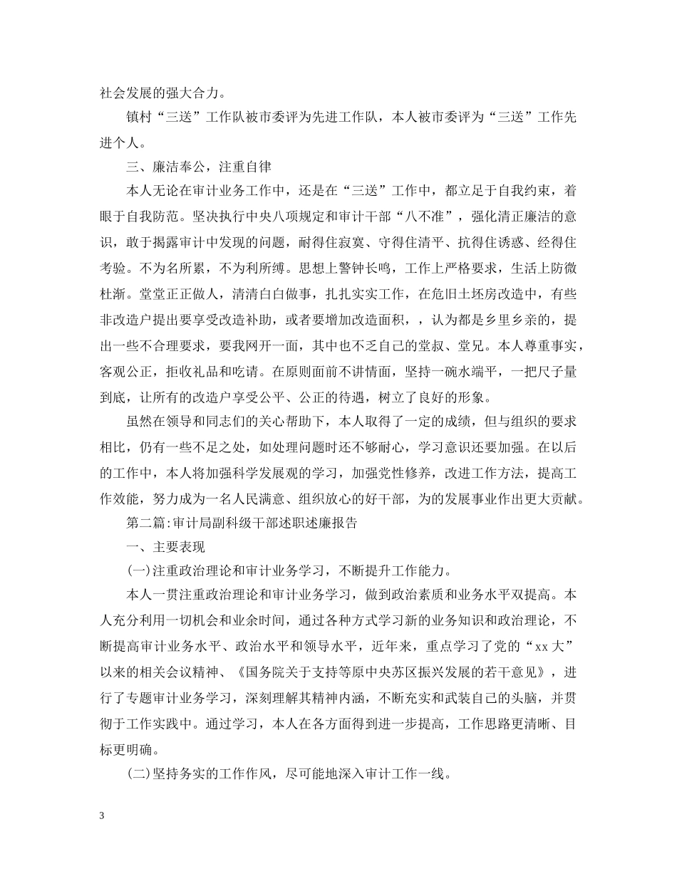 总审计师述职述廉报告 _第3页