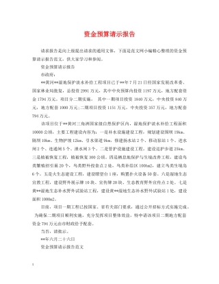 资金预算请示报告 