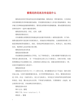 紫菀花的花语及传说是什么 
