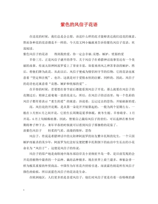 紫色的风信子花语 