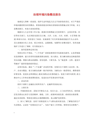 治理环境污染整改报告 