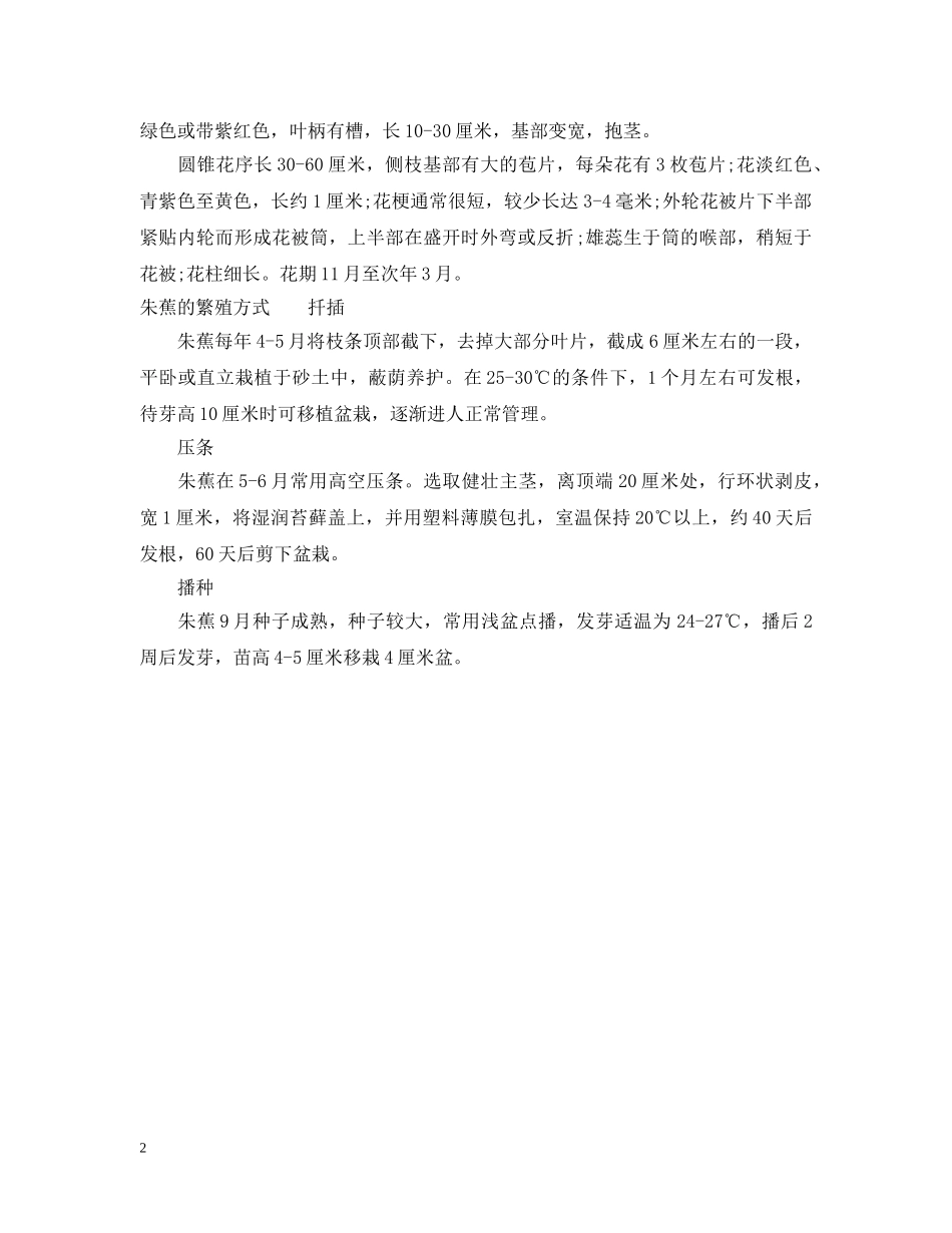 朱蕉的花语含义 _第2页