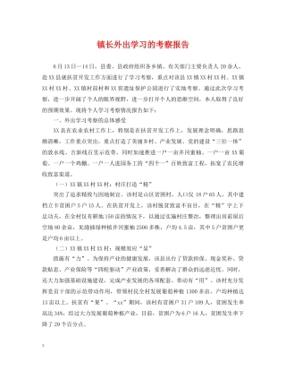 镇长外出学习的考察报告 