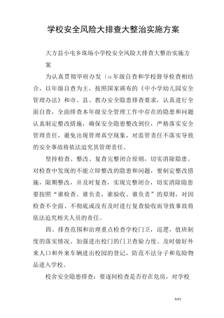 学校安全风险大排查大整治实施方案