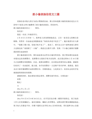 抓小偷表扬信范文三篇 