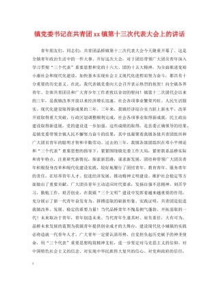 镇党委书记在共青团xx镇第十三次代表大会上的讲话 