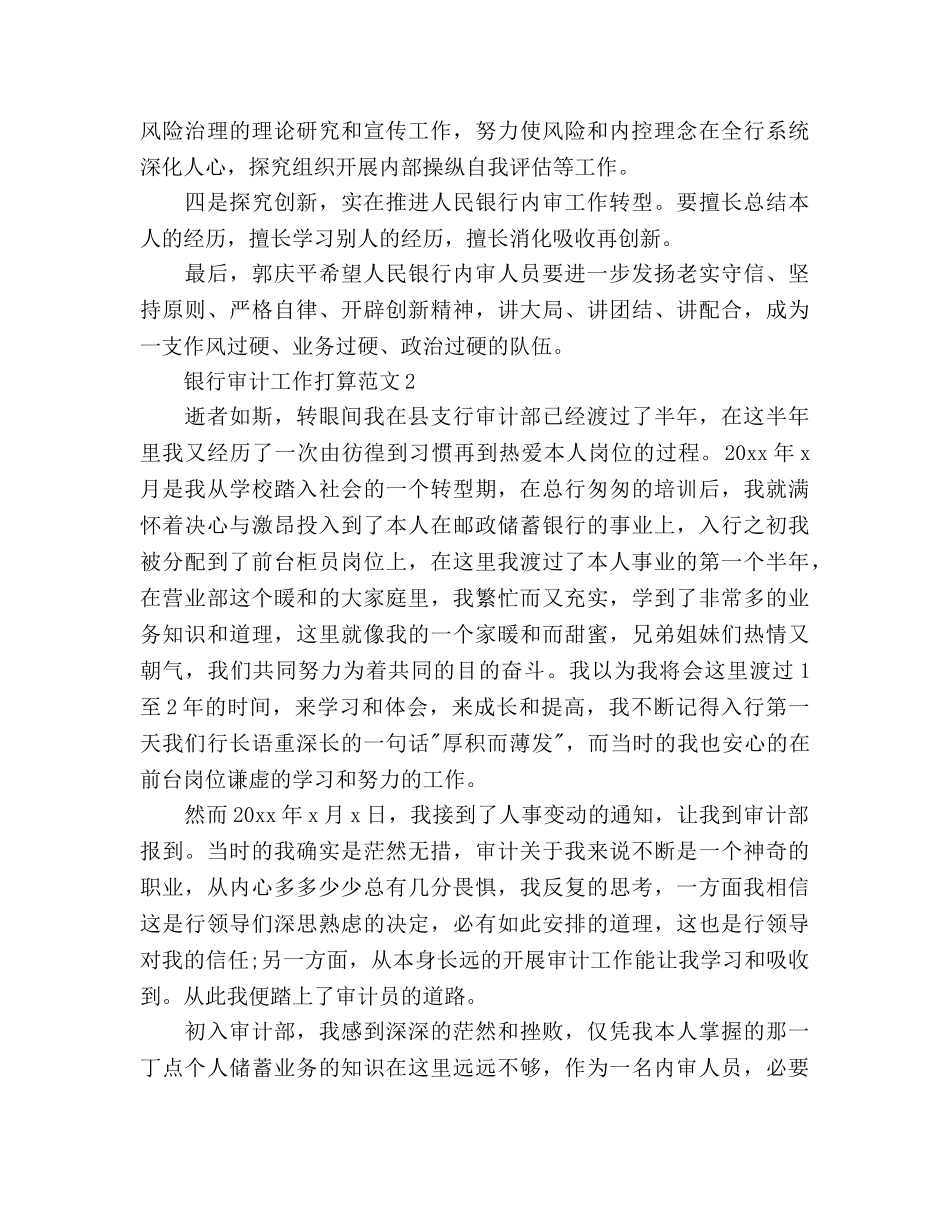 银行审计工作参考计划 _第3页