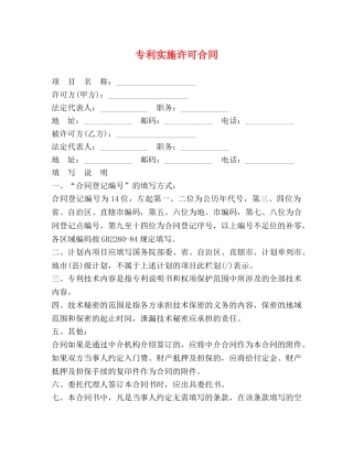 专利实施许可合同 (2)