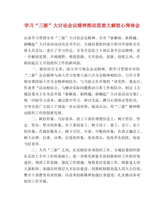 学习“三新”大讨论会议精神推动思想大解放心得体会 