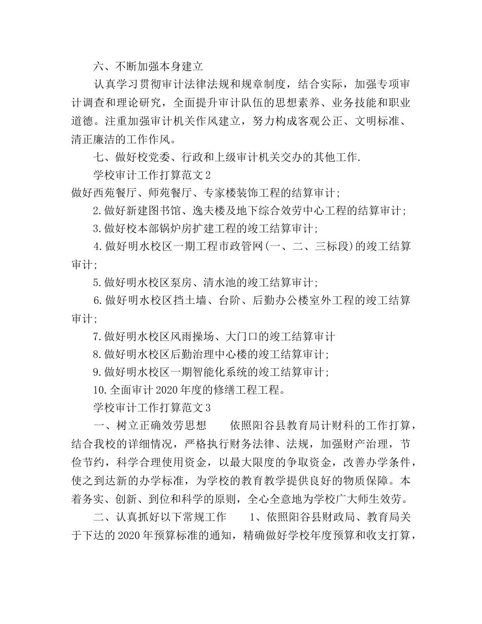 学校审计工作参考计划 _第2页
