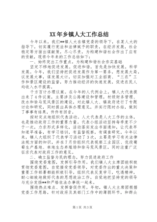 XX年乡镇人大工作总结 